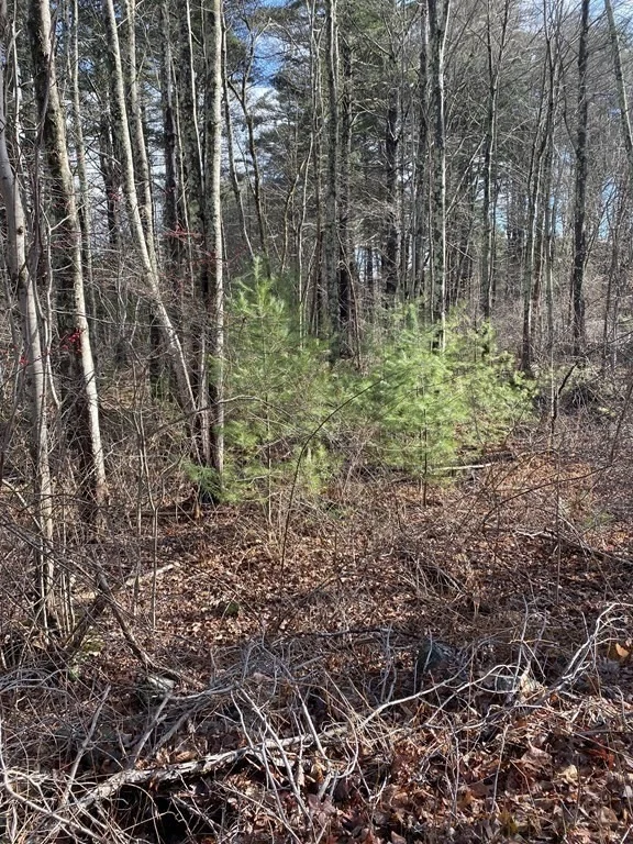 Photo of Lot 169-22 Beebe Rd