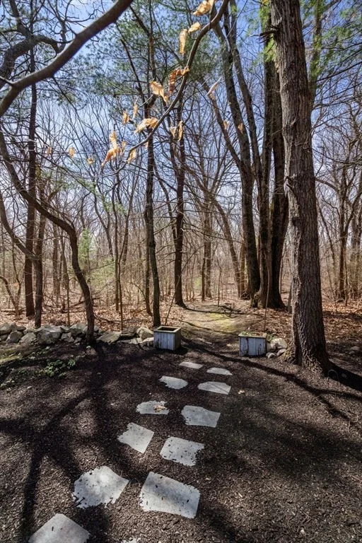 Photo of 70 Wagon Road