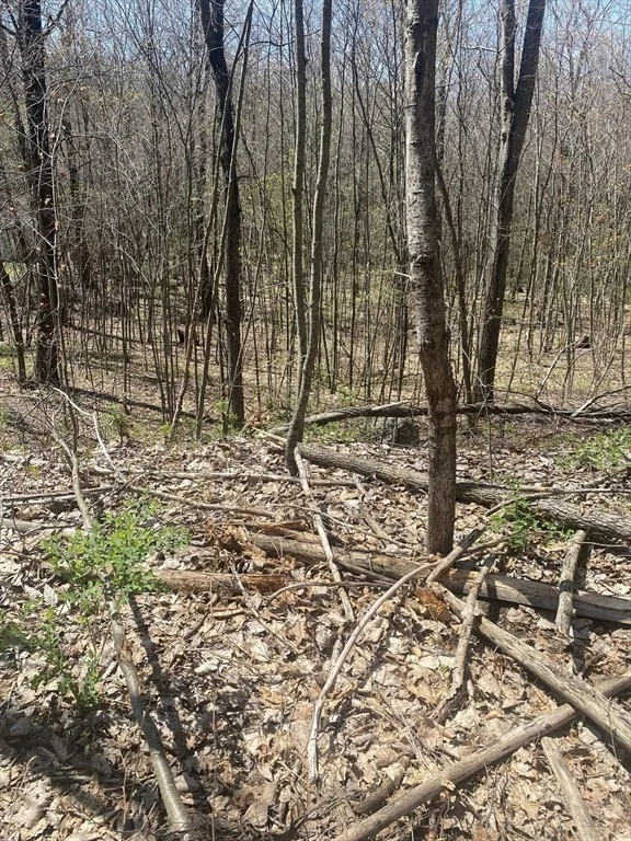 Photo of 117 Munsing Ridge