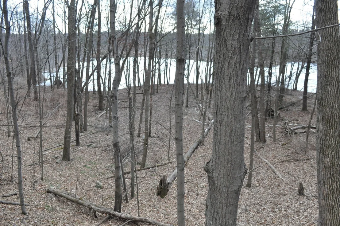 Photo of 1010 Ryan Rd