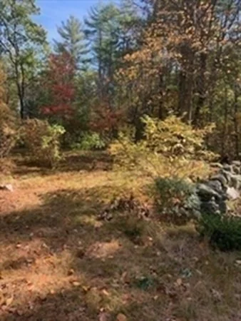 Photo of 115 Quarry Road