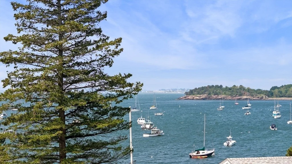 Photo of 51 Cliff Street