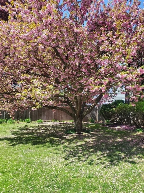 Photo of 9 Mayfield Rd