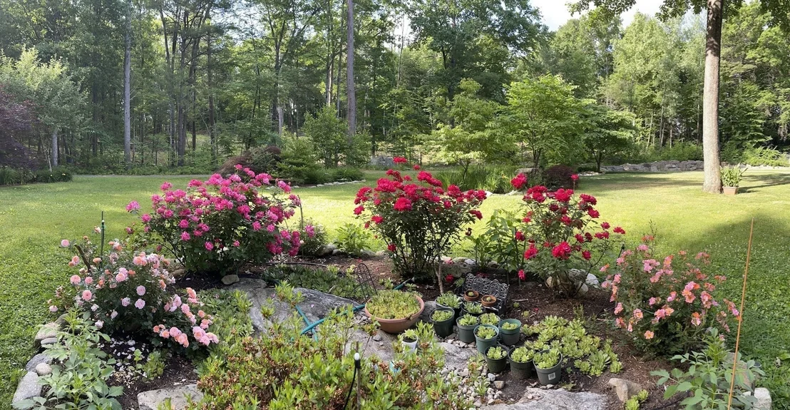 Photo of 17 Wyndcliff Drive