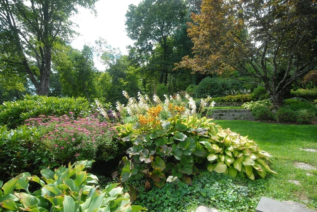 Photo of 9 Hilliard Road