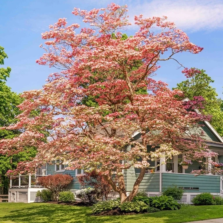 Photo of 54 Endicott Rd