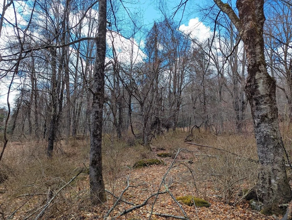 Photo of Lot 33.03 William Holmes Rd