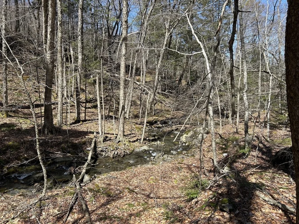 Photo of 71 Dodge Rd