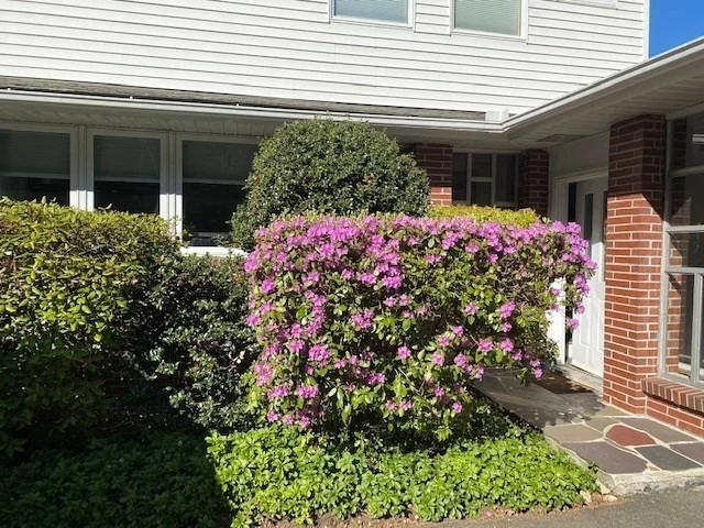 Photo of 61 Arnold Rd