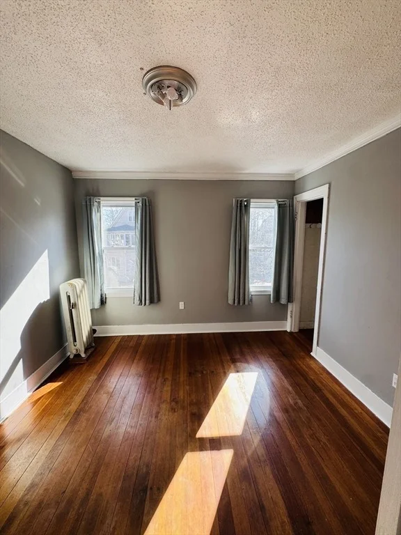 Photo of 59 Daviston St
