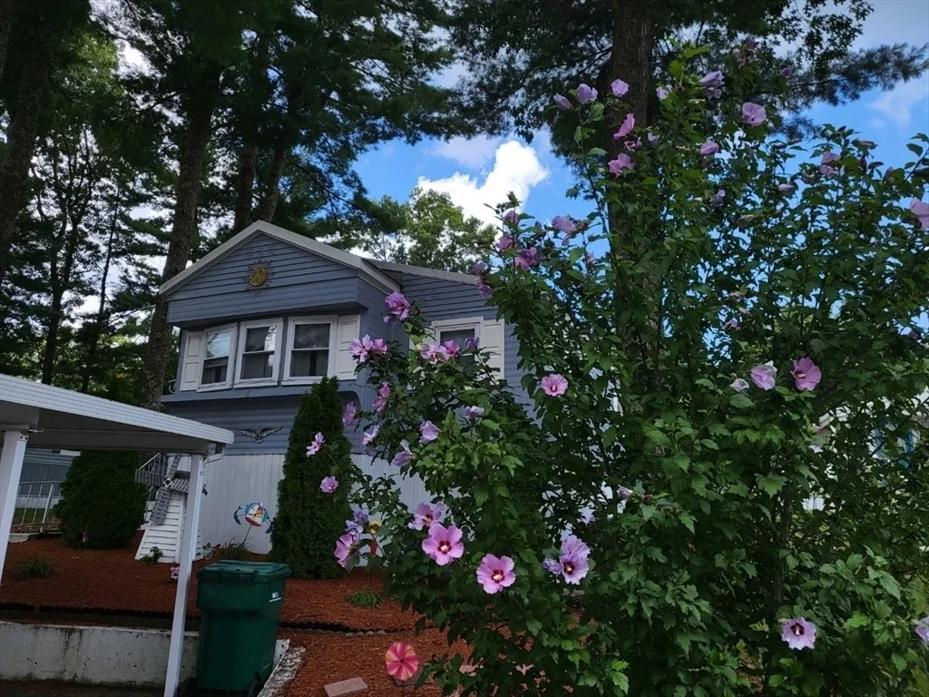 Photo of 6 Forestdale Drive