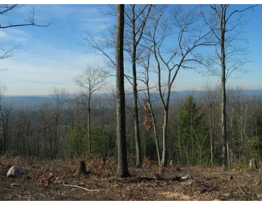 Photo of LOT 2 Hannahbrooke Road