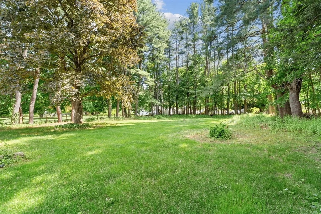 Photo of 348 Belknap