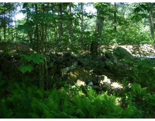 Photo of 0 Ramshorn Rd