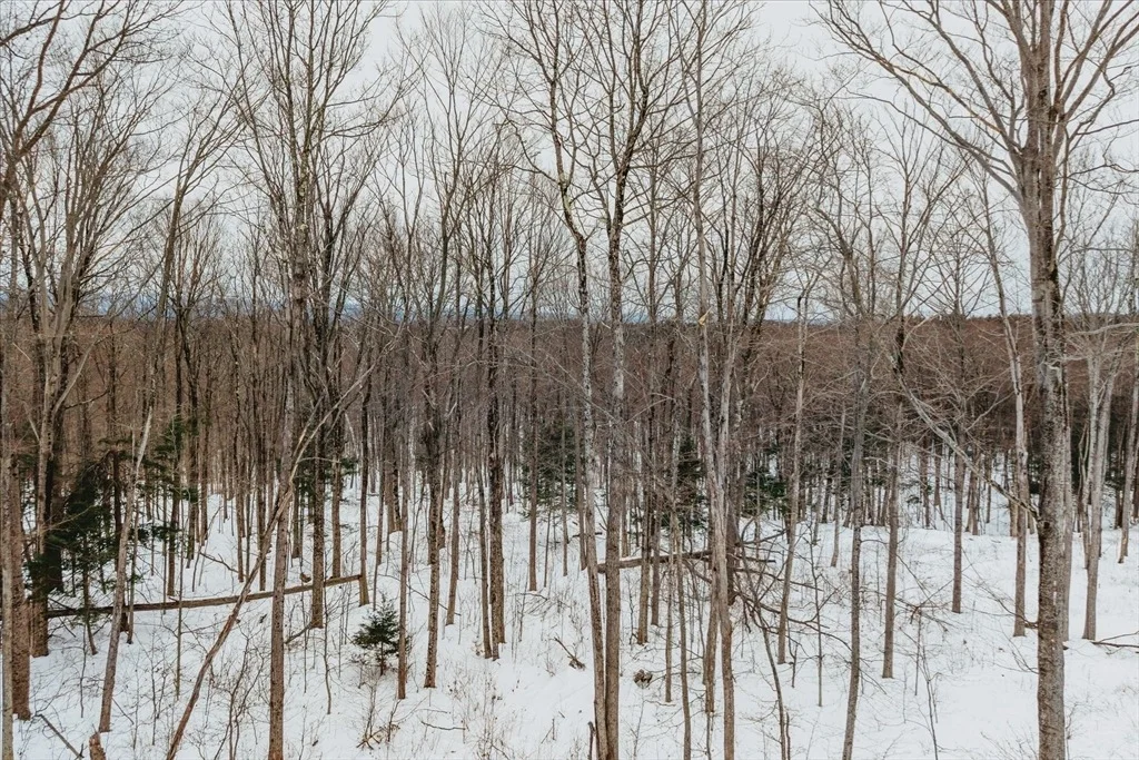 Photo of 0 Blueberry Hill Rd (Lot 6)