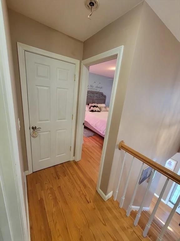 Photo of 25 Merino St