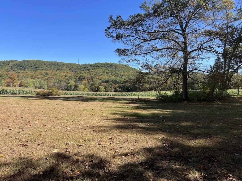 Photo of 401 Main Road
