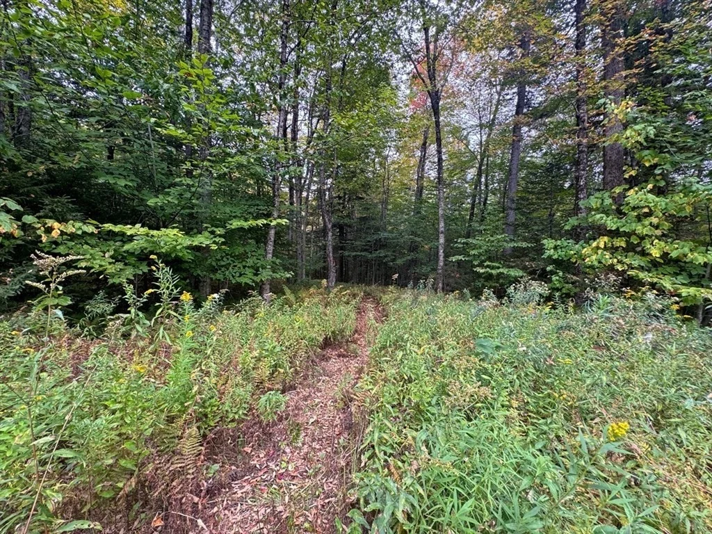 Photo of 60 Stone Hill Road