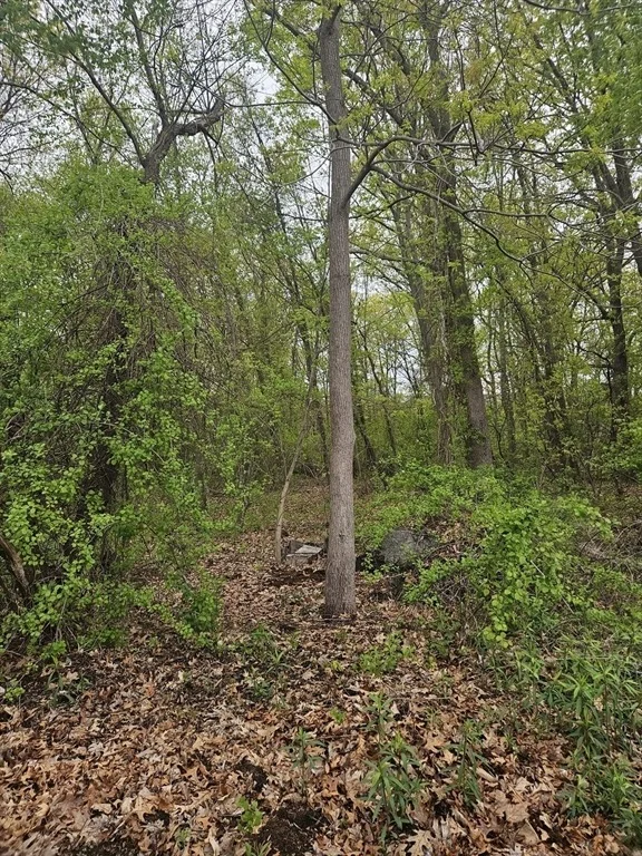 Photo of 37 Book Street