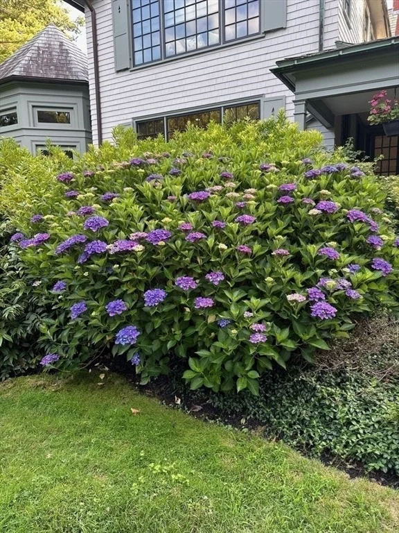 Photo of 45 Forest Ave