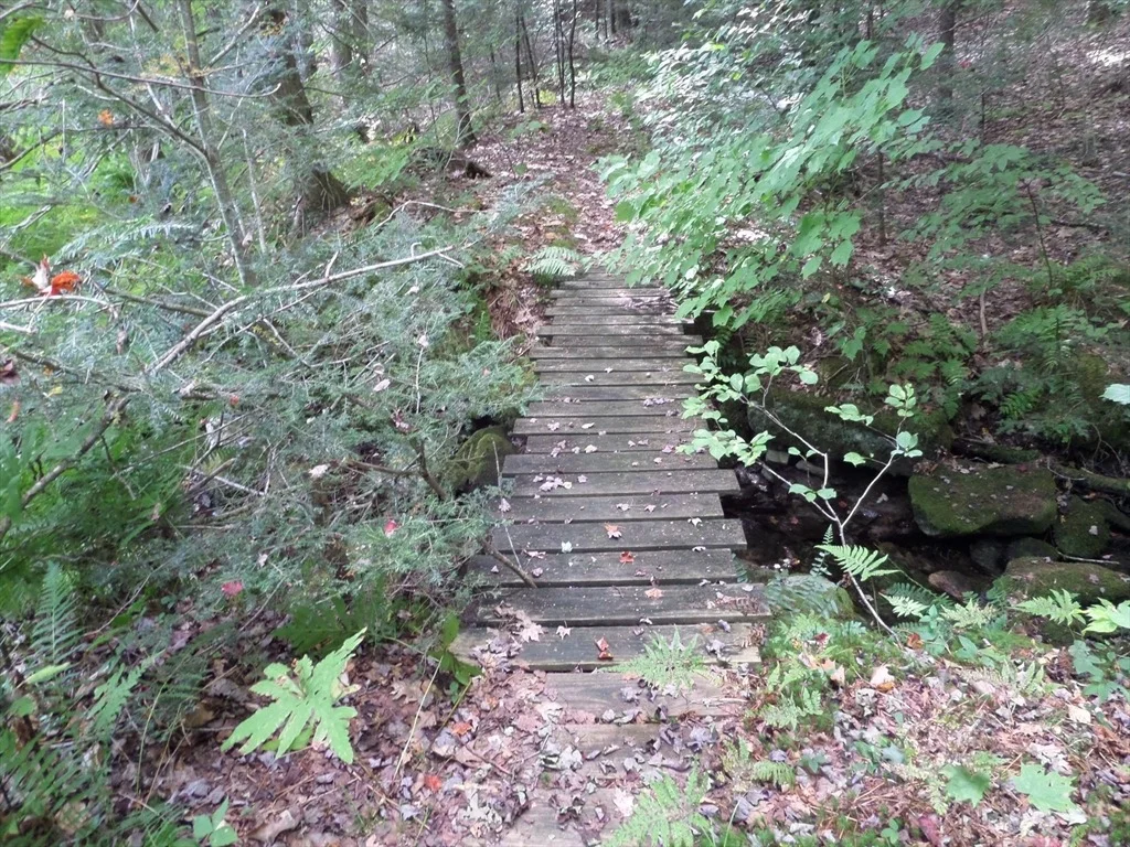 Photo of 155 River Rd