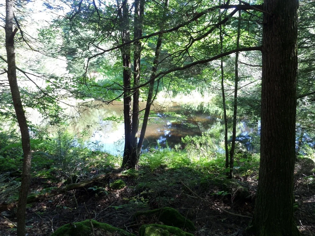 Photo of 155 River Rd