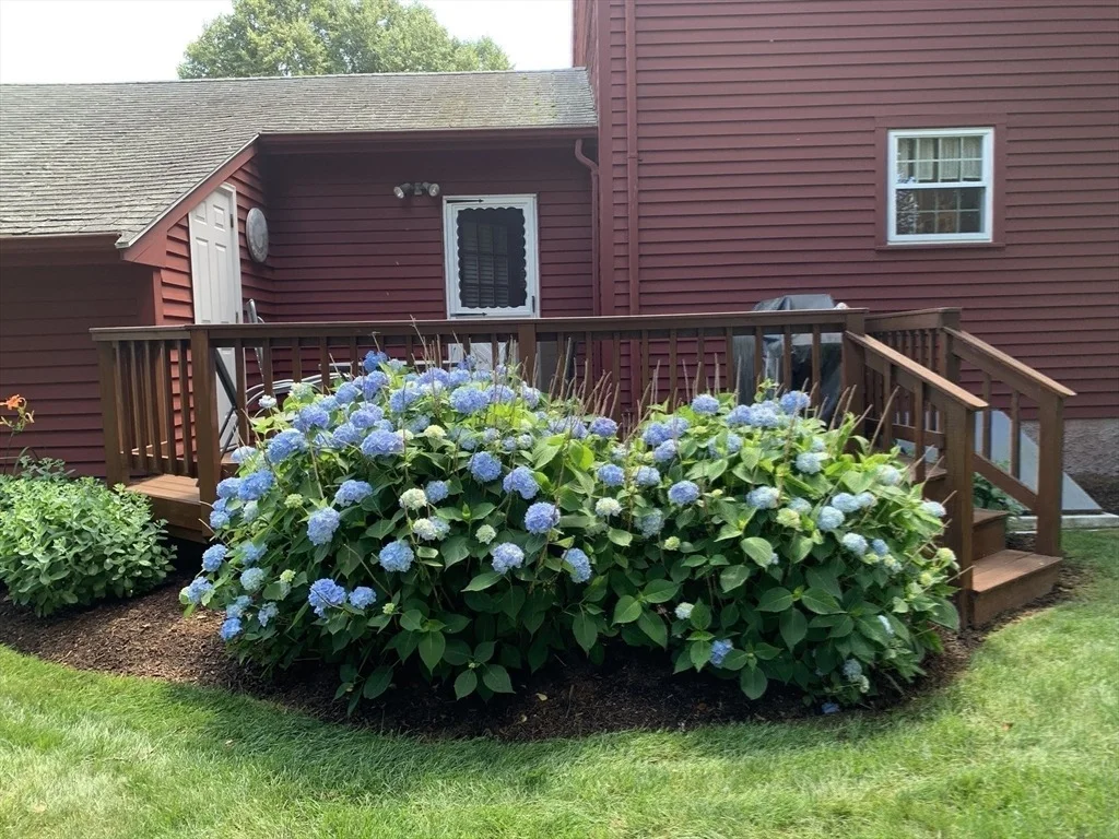 Photo of 21 Brewster Drive