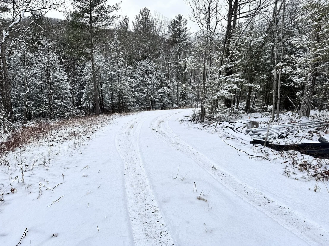 Photo of 342 Southampton Rd