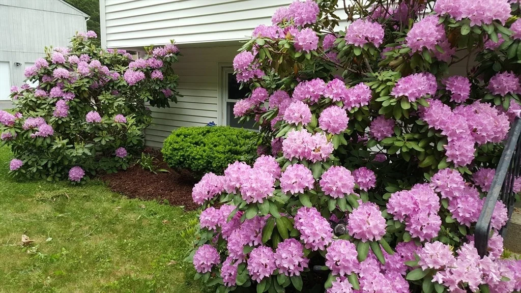 Photo of 48 Badger Rd