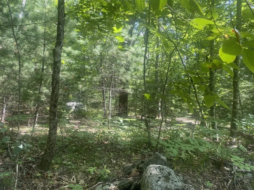 Photo of Tract 7 Delargy Rd