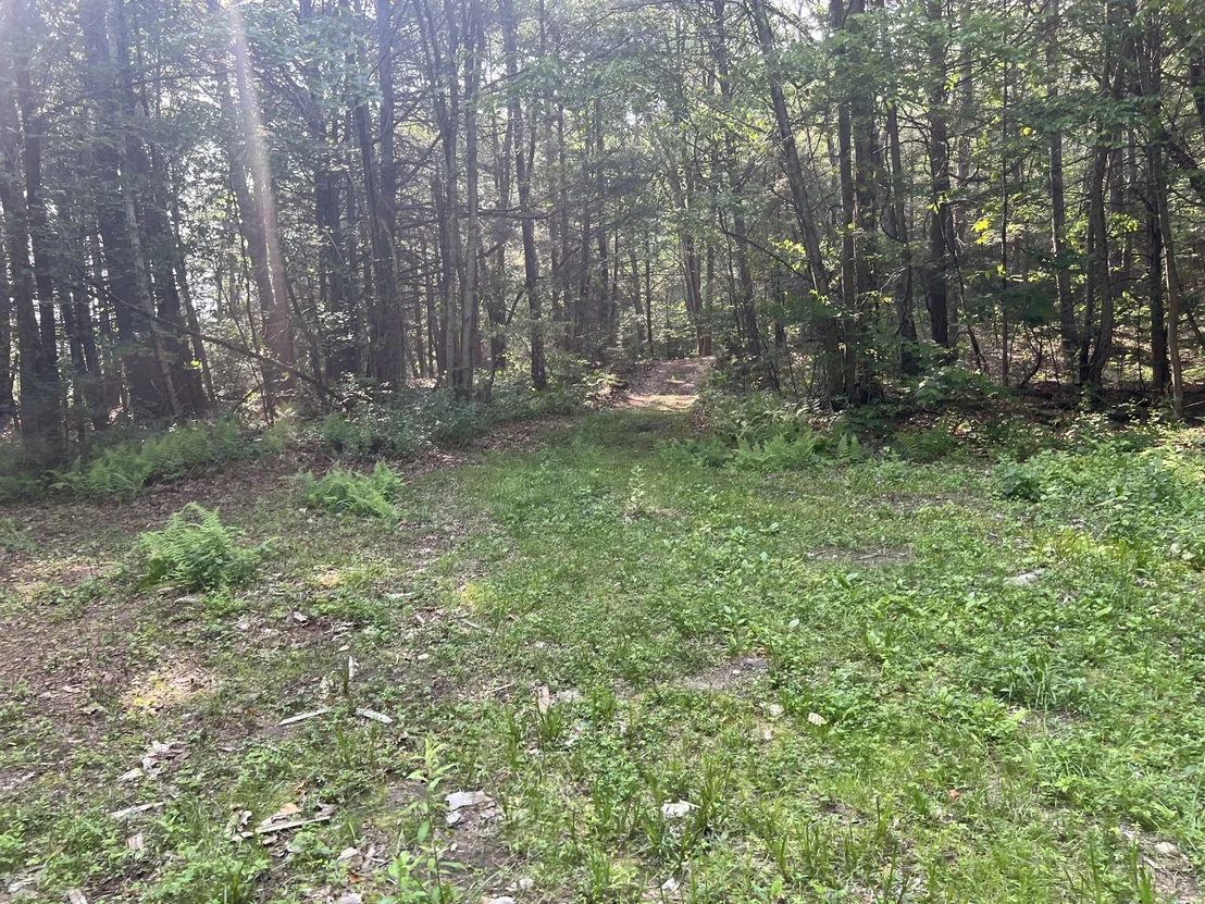 Photo of 140 Bond Rd