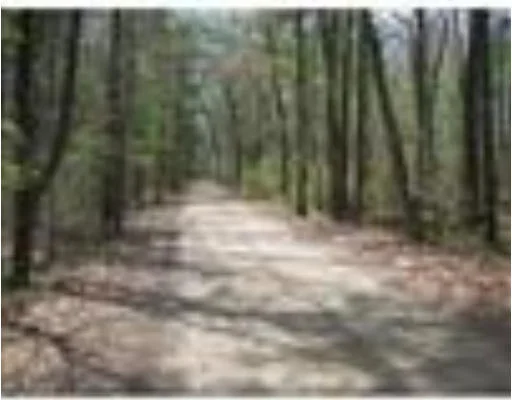 Photo of Lot 4 Old Spruce Street
