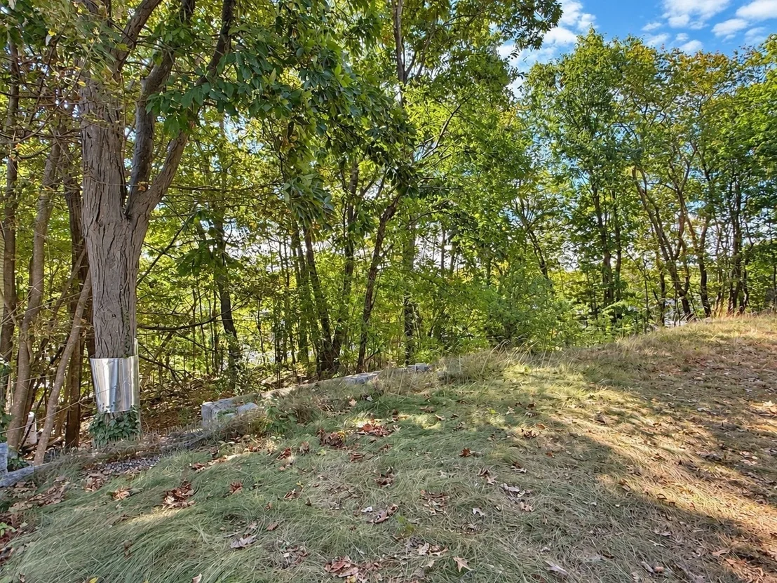 Photo of 15 Kelley Rd