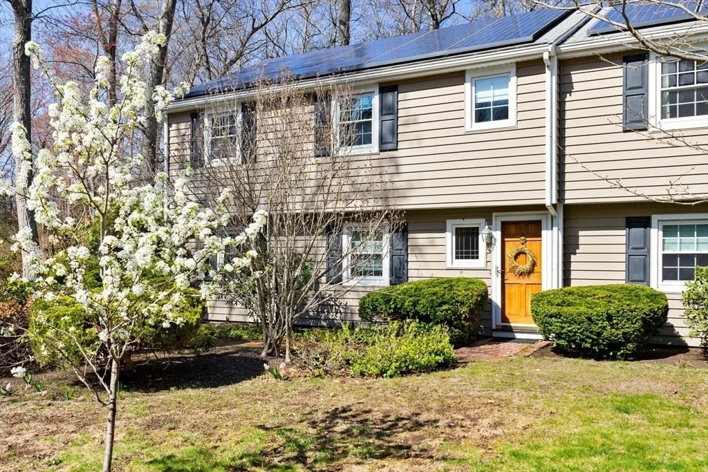 Photo of 20 Douglas Road