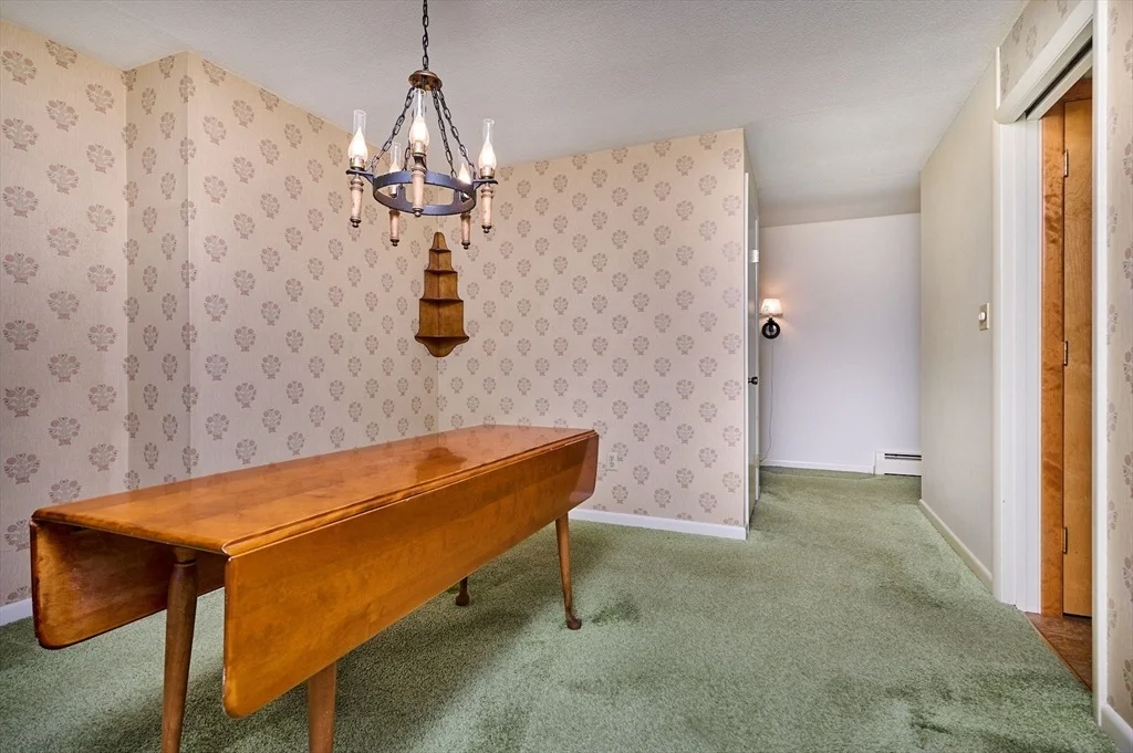 Photo of 226 Birnam Road