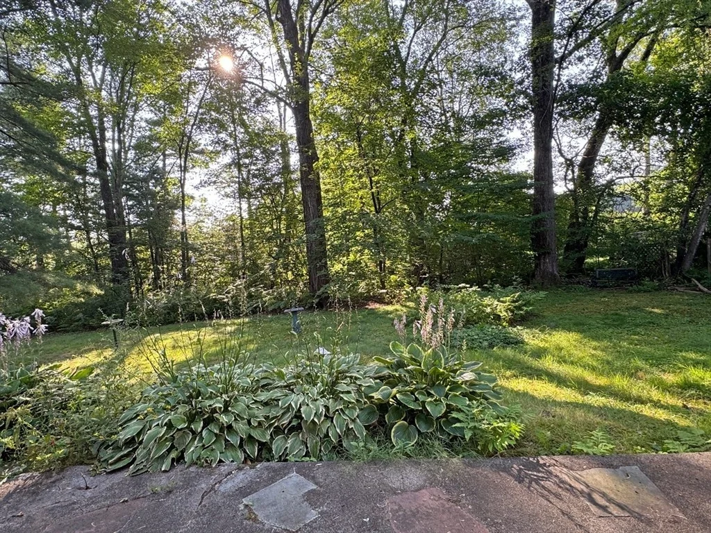 Photo of 45 Eastern Ave