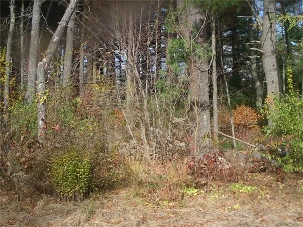 Photo of 43 Canedy St