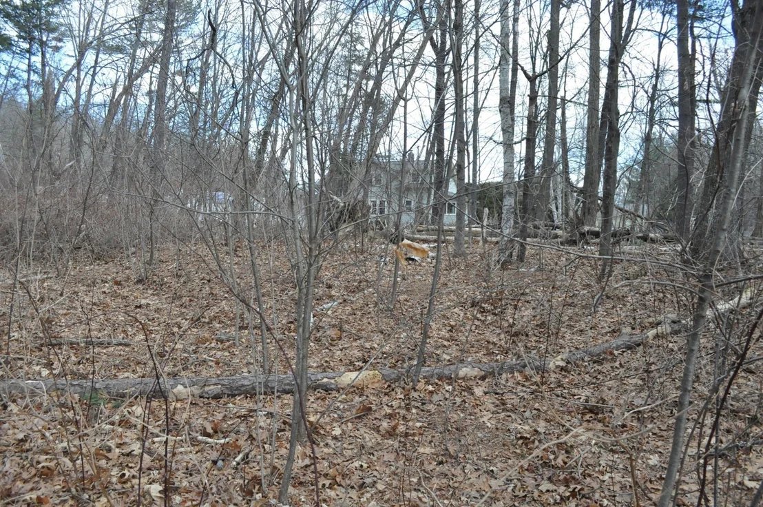 Photo of 1010 Ryan Rd