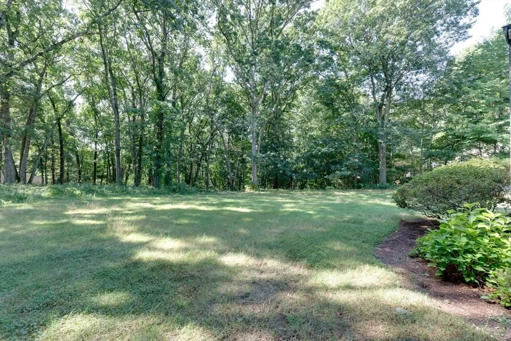 Photo of 67 Porter Road