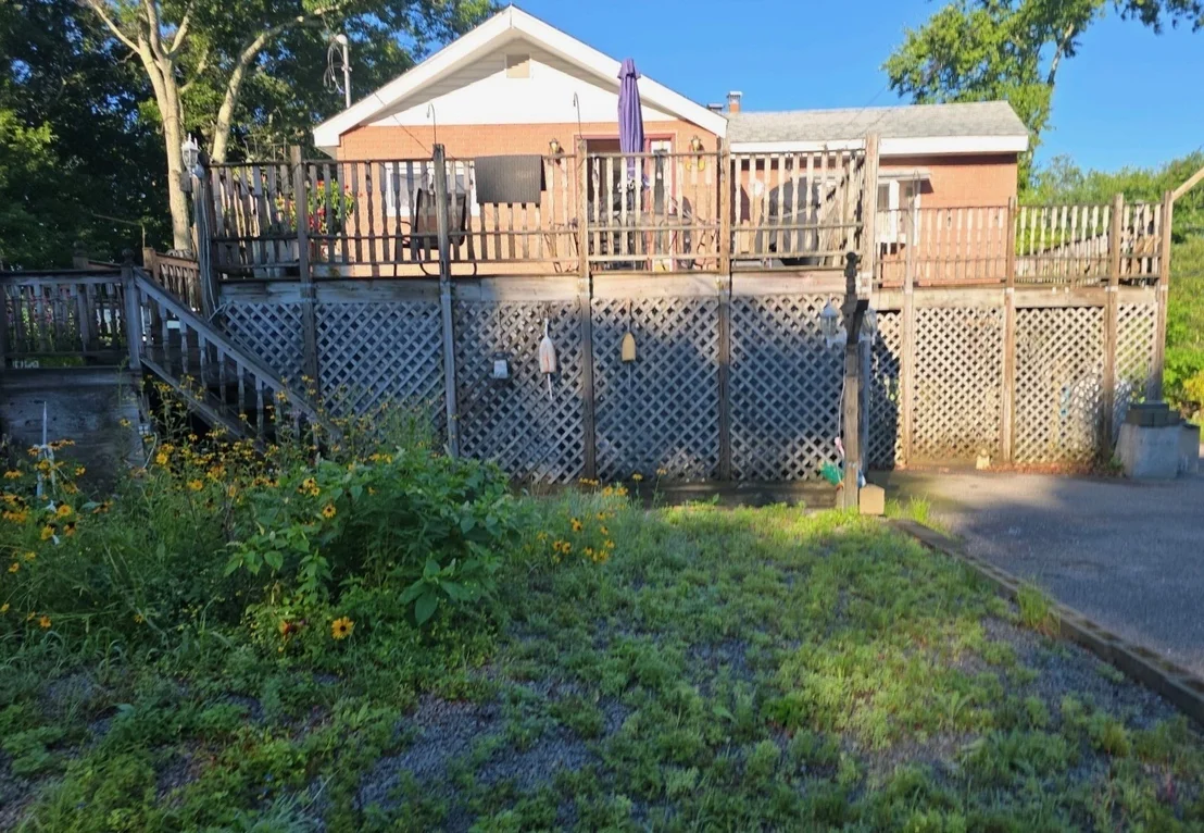 Photo of 21 Freeman Ave