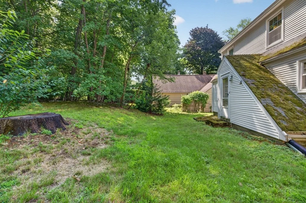 Photo of 49 Downing Rd