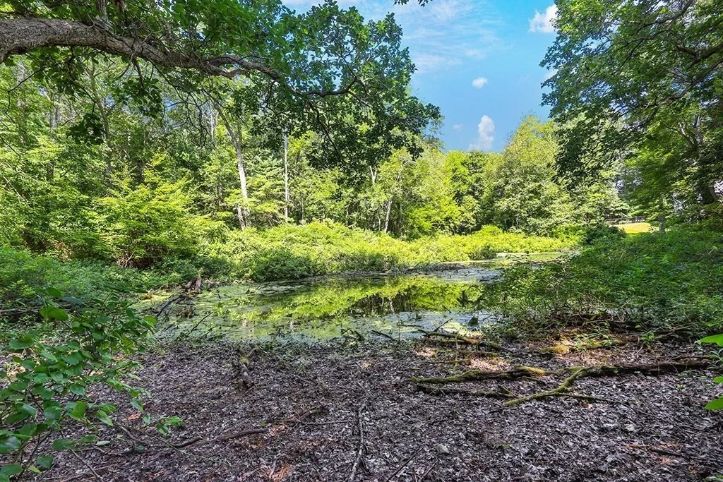 Photo of 44 Winterberry