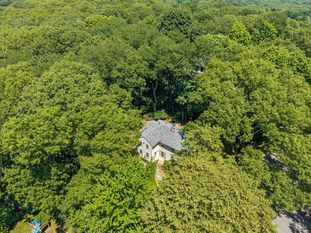 Photo of 41 Locust Ave