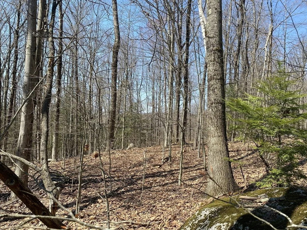 Photo of Lot 15 Colebrook River Rd