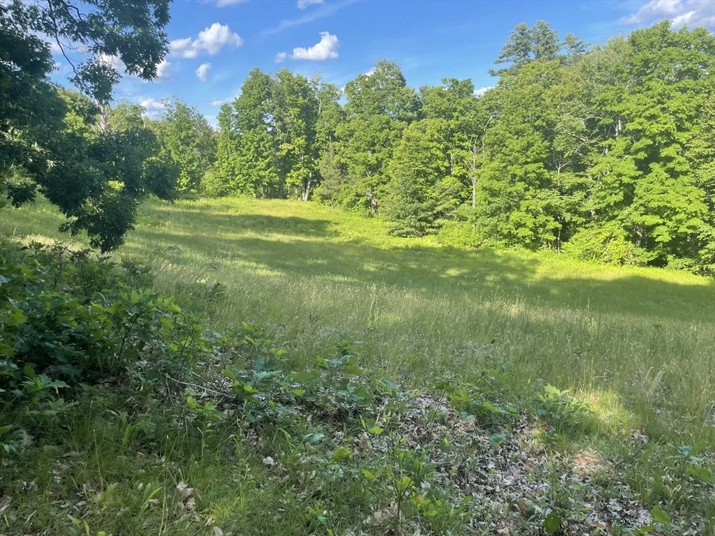Photo of Lot 0 Mason Rd