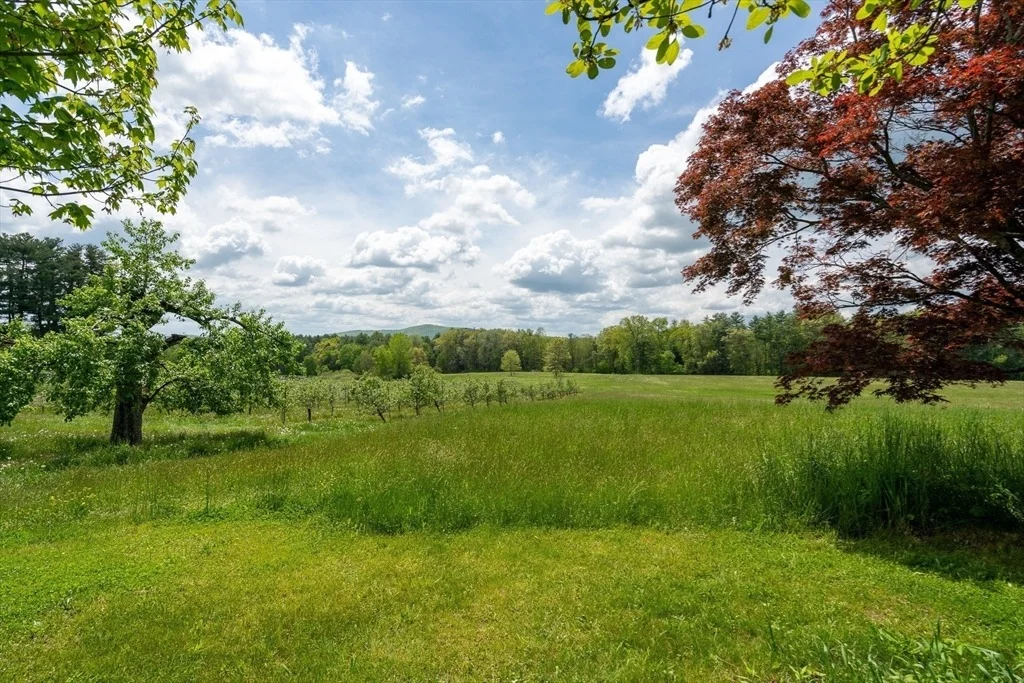 Photo of 98 Park Hill Rd