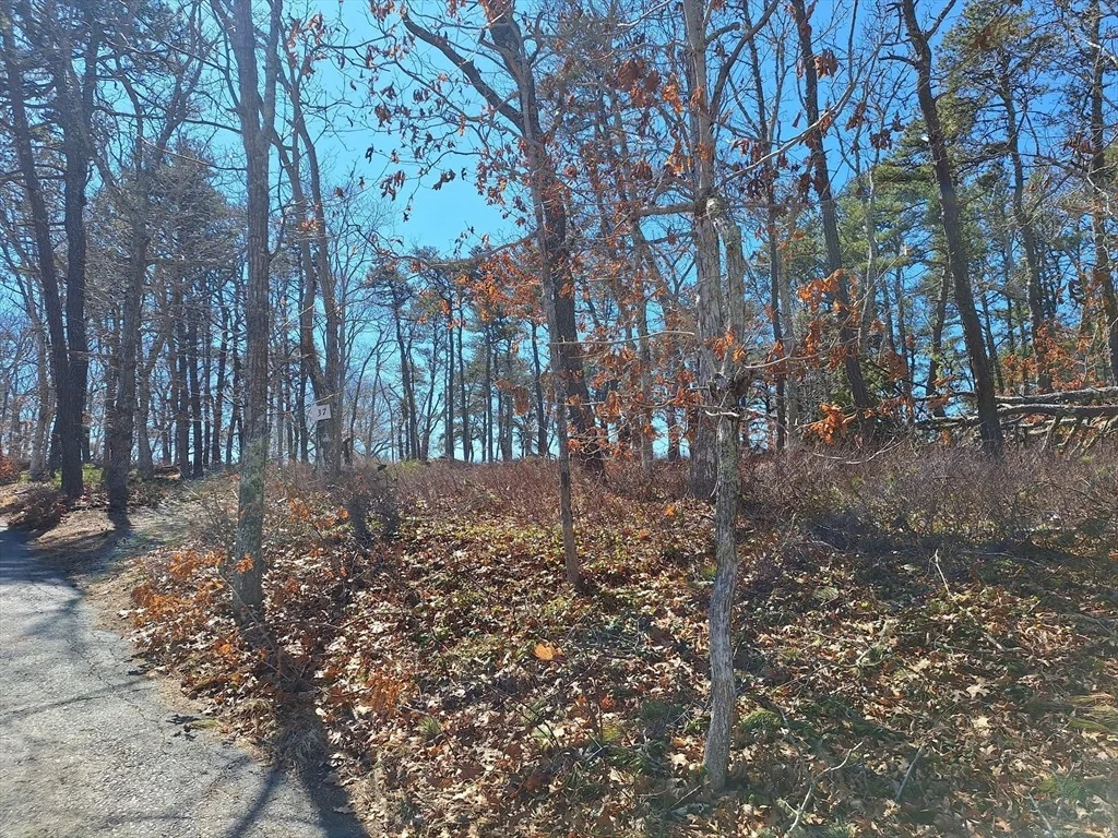 Photo of 37 Oak Valley Rd