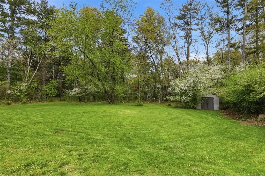 Photo of 31 Chapman Rd