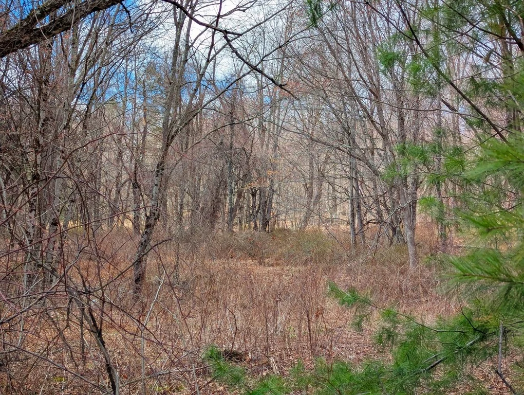 Photo of Lot 33.03 William Holmes Rd