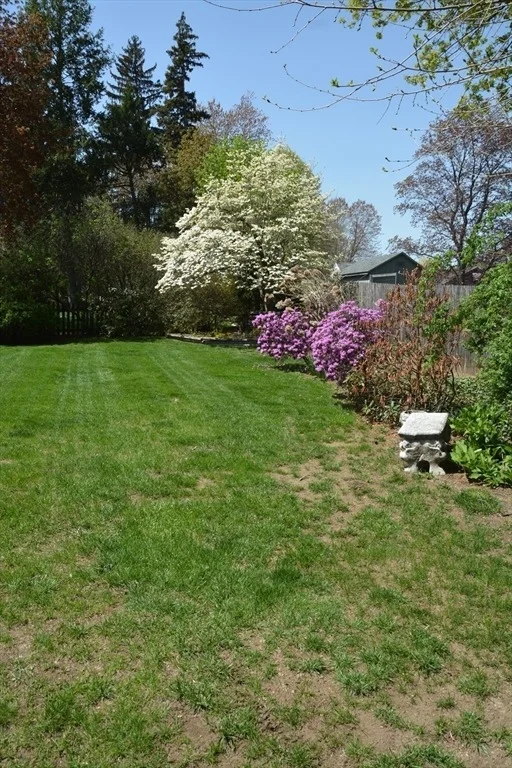 Photo of 63 Hale St